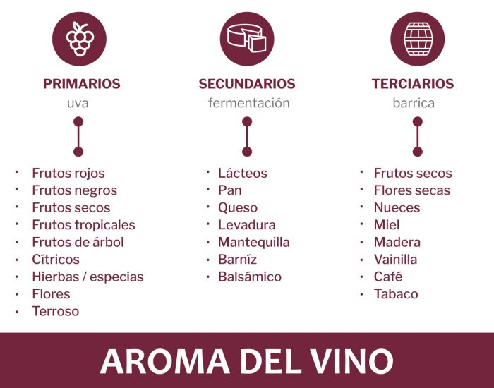 aroma del vino