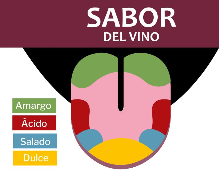sabor del vino